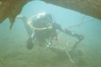 UW-Foto von mir unter Baumst&auml;mmen