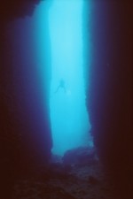 UW-Foto vom Tauchplatz "Canyon"