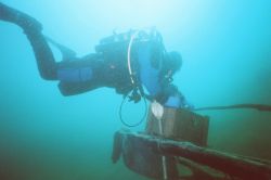 UW-Foto Er schleicht sich an...