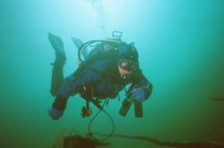 UW-Foto Flucht mit der Beute