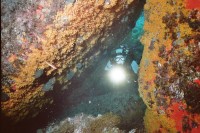 UW-Foto Wundersch&ouml;n bewachsene Felsw&auml;nde laden zum Durchtauchen ein