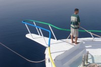 Foto Ankerman&ouml;ver