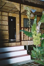 Foto Eingang zu meinem Bambus-Bungalow mit "meinen" Bananenstauden