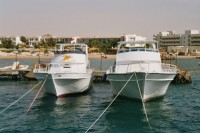 Foto von Tagestauchbooten am Steg von den Ducks Divern