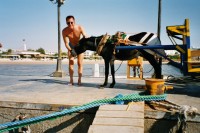 Fotos von zwei Eseln vor einem Karren