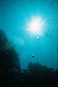 UW-Foto: Leave nothing but bubbles