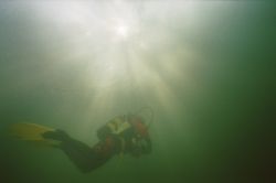 Bild von Tauchbuddy Mansur im Gegenlicht