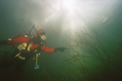 Bild von Tauchbuddy Mansur im Gegenlicht