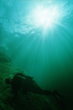 UW-Foto Taucher im Gegenlicht der Sonne