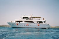 Foto des Safarischiffes "Sea Cruiser&quot