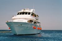 Foto des Safarischiffes "Sea Cruiser&quot